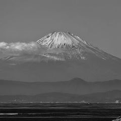 富士山が見える